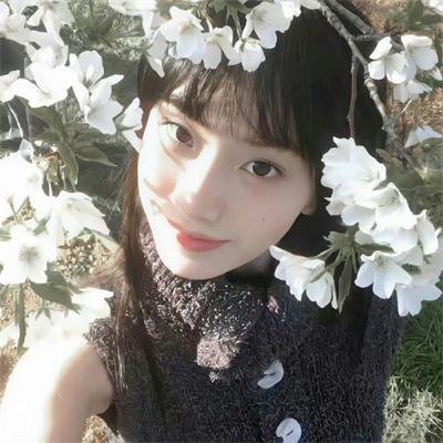 海宫仙蕊